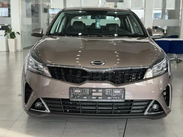 Купить Solaris KRS Коричневый 1.6 AT (123 л.с.) от 2525000 ₽. в Краснодаре